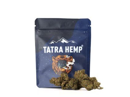 6707 tatrahemp gary payton