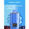 5656 5656 5656 5656 5656 elfbar dual 10k 2v1 blueberry edition