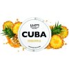 5914 5914 cuba pineapple
