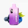 6199 6199 lost mary bm6000 blueberry sour raspberry