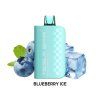 6519 6519 6519 blueberry ice