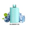 6519 blueberry ice