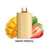 6540 mango tropical