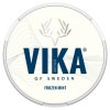 vika frozen mint b2b 300x300