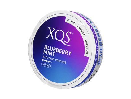 XQS Blueberry Mint nikotinove sacky
