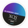 xqs blueberry mint slim extra strong nikotinove sacky nicopods