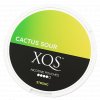 xqs cactus sour slim strong nikotinove sacky nicopods