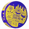 XQS Citrus cooling nikotinove sacky min