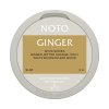NOTO Ginger Nikotinove sacky min