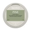 NOTO Pine Nikotinove sacky min