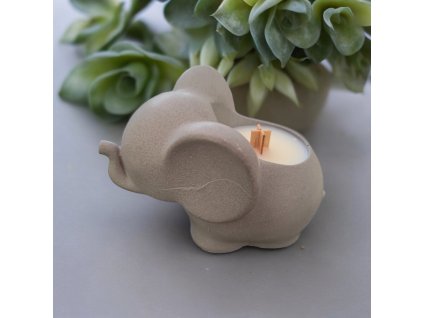 Photoroom 20240501 130636