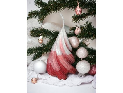 PhotoRoom 20231126 125810