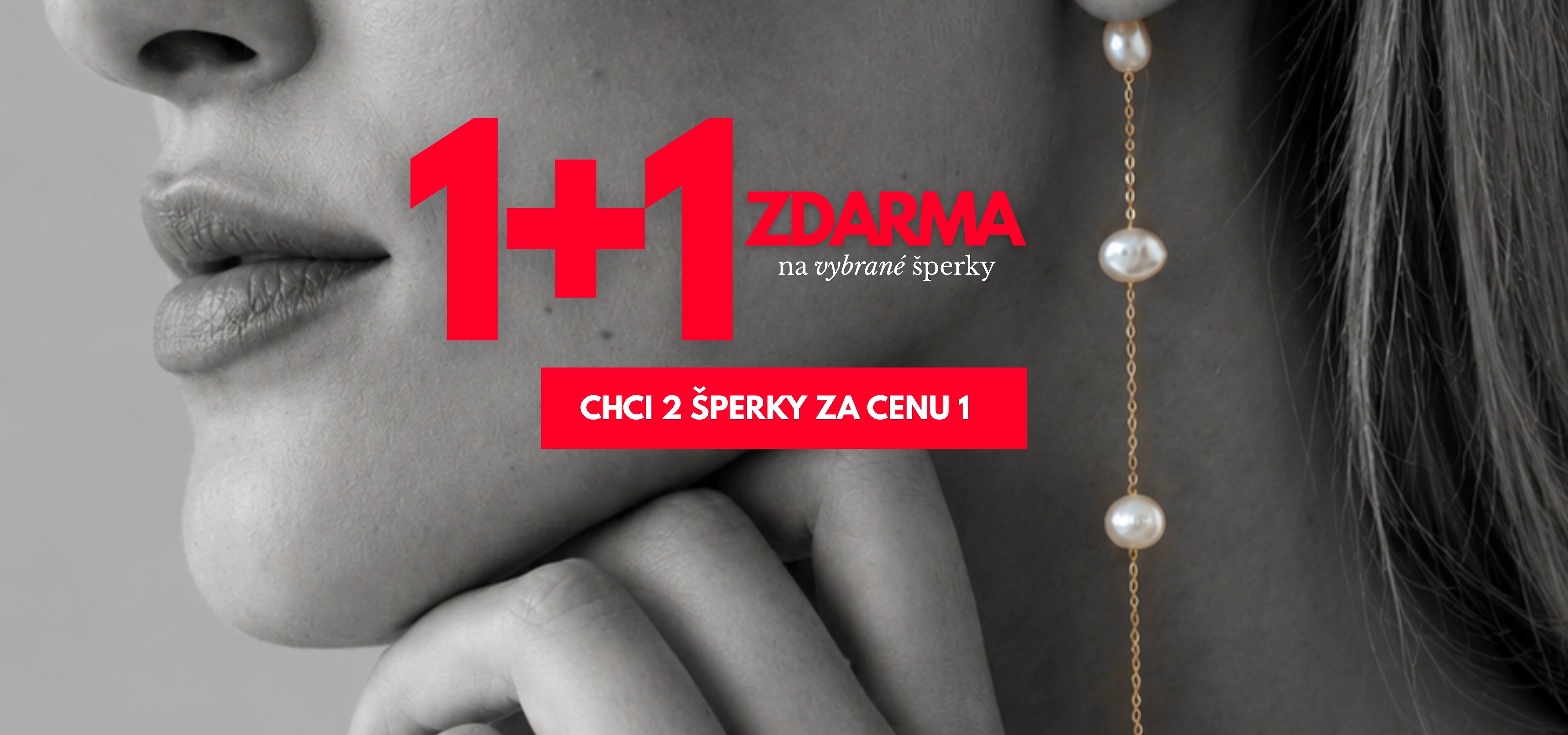 1+1 ZDARMA_desktop