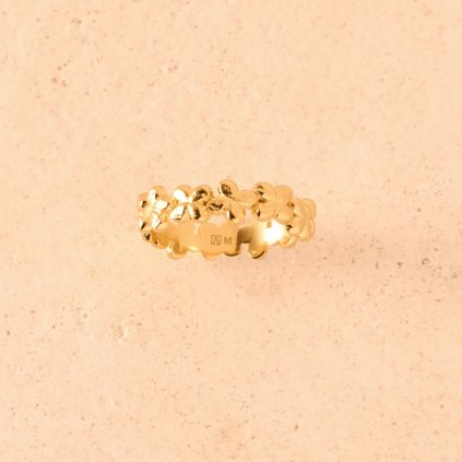 1 1 C039 10 LauraRing