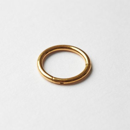 Gold Ring piercing