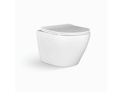Závěsné wc DESNA s sedátkem