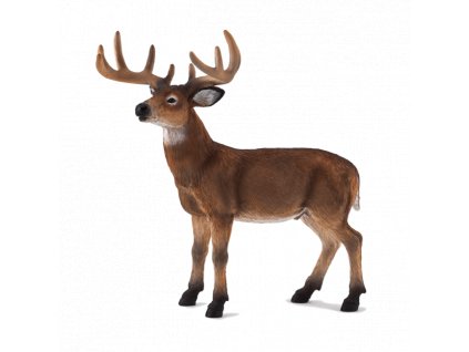 387038 WHITE TAILED DEER BUCK 514x540