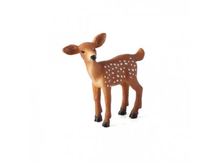 387036 WHITE TAILED DEER FAWN 522x540