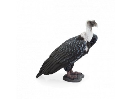 387165 GRIFFON VULTURE 540x500