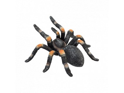 387213 Red Kneed Tarantula 5 540x540