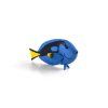 387269 BLUE TANG FISH e1485445912381 540x360