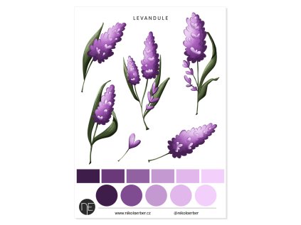 038 levandule mockup