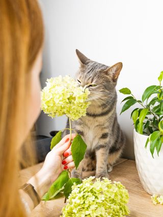 Ty nejlepší momenty při focení většinou vzniknou úplnou náhodou 🌿. A někdo musel samozřejmě zkontrolovat květiny osobně....