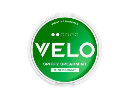 Untitled design (19)