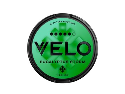 Untitled design (21)