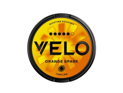 Untitled design (22)