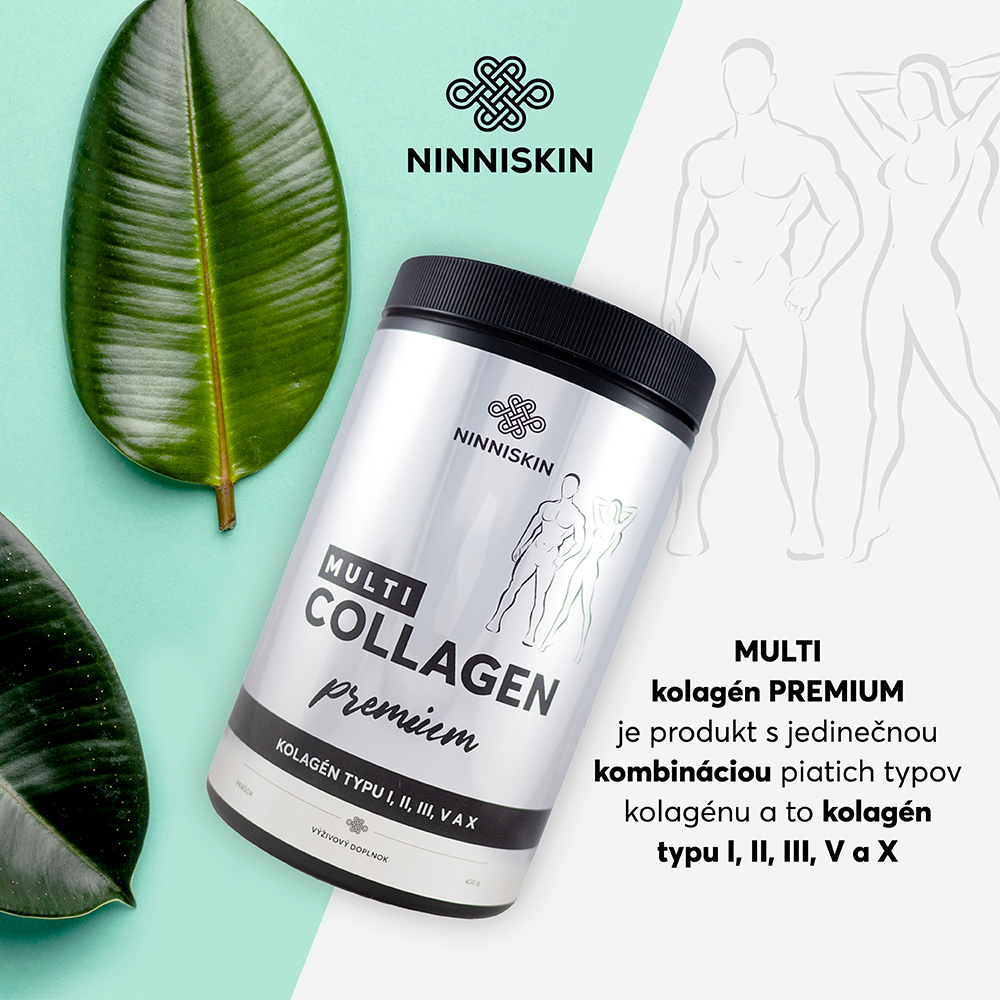 Hlavné typy kolagénu