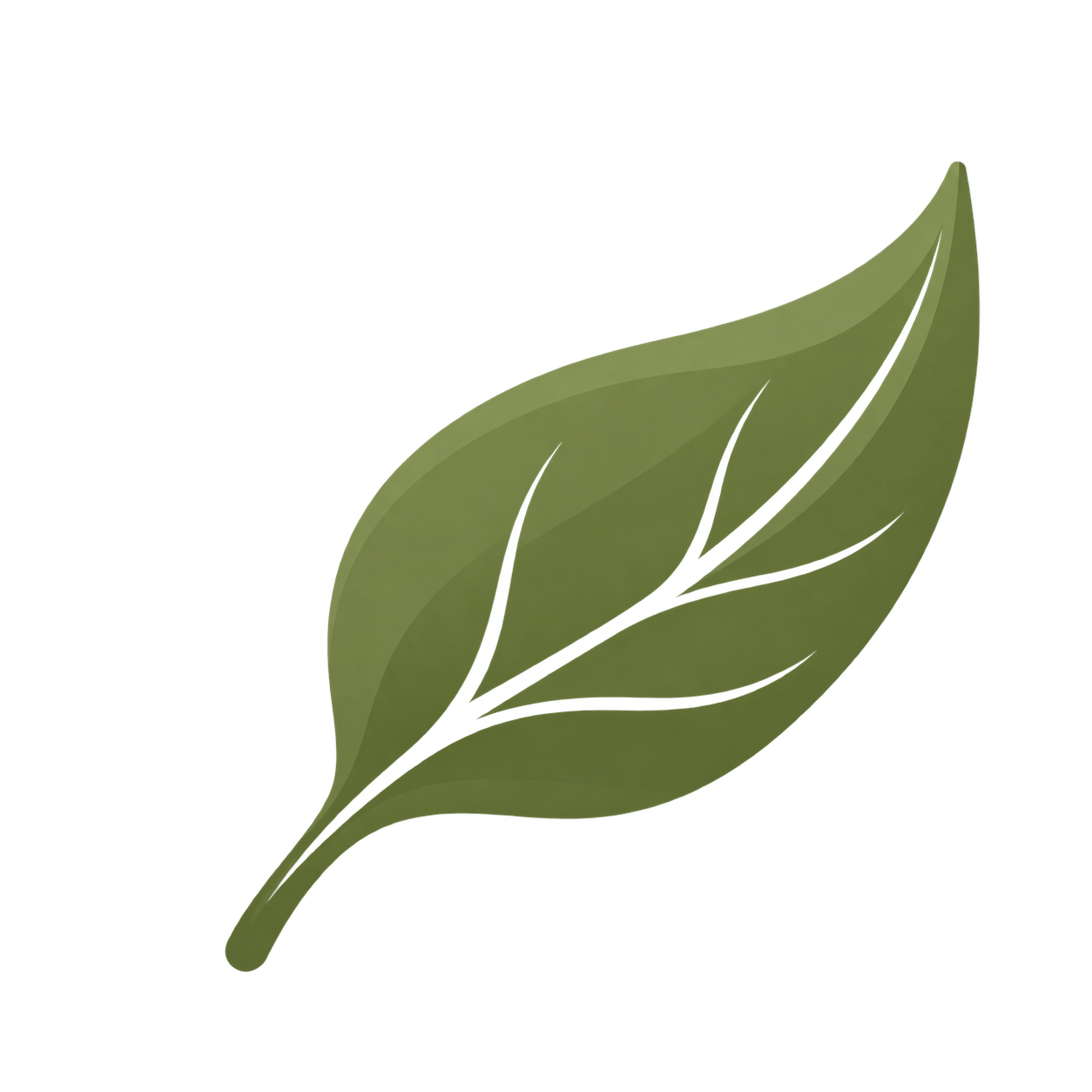 Organická matcha