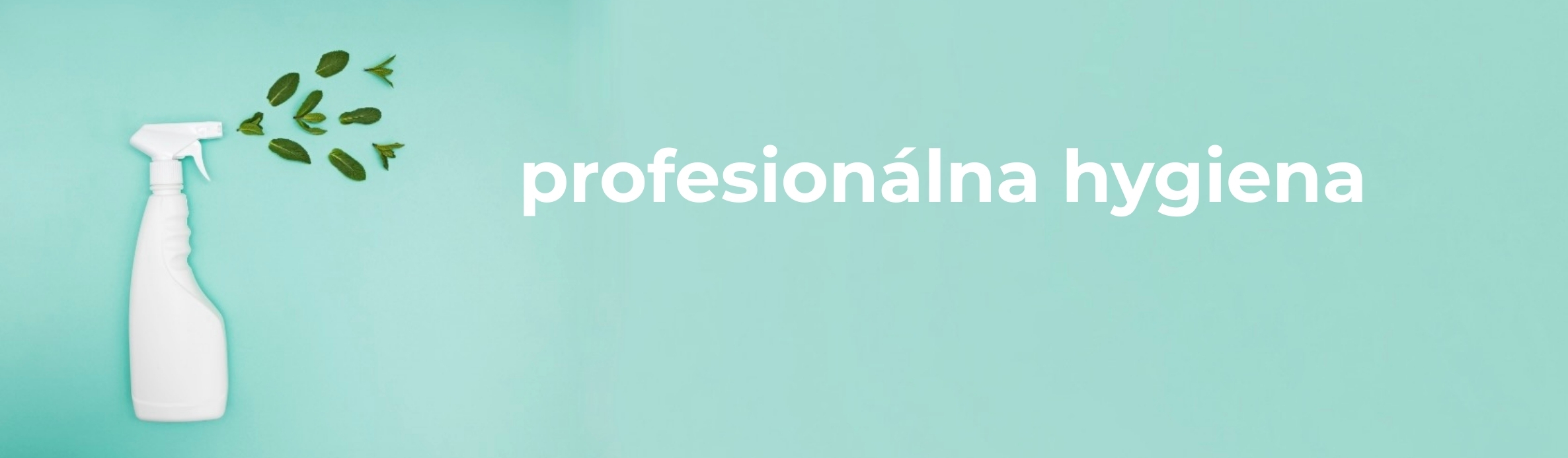 profesionálna hygiena