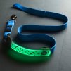 Nabíjecí svítící kryt Nite Ize NiteDog® Rechargeable LED Collar Cover Disc O Select™ (11)