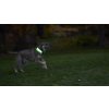 Nabíjecí svítící kryt Nite Ize NiteDog® Rechargeable LED Collar Cover Disc O Select™ (4)