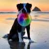 Létající disk talíř Nite Ize Flashflight® Dog Discuit™ LED Flying Disc (6)