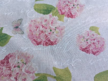 latka ruzova hortenzia