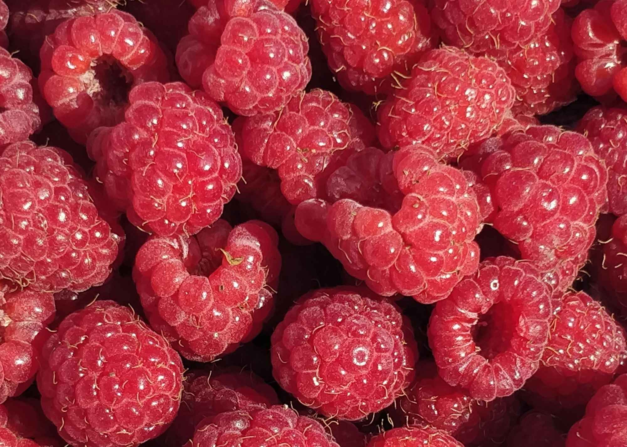 Maliny a čokoláda: proč tato kombinace funguje dokonale a patří mezi nejoblíbenější čokoládové speciality
