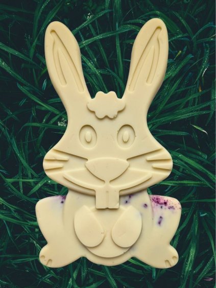 cokoladova pastika(49)