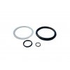 BZ300 ring seal set