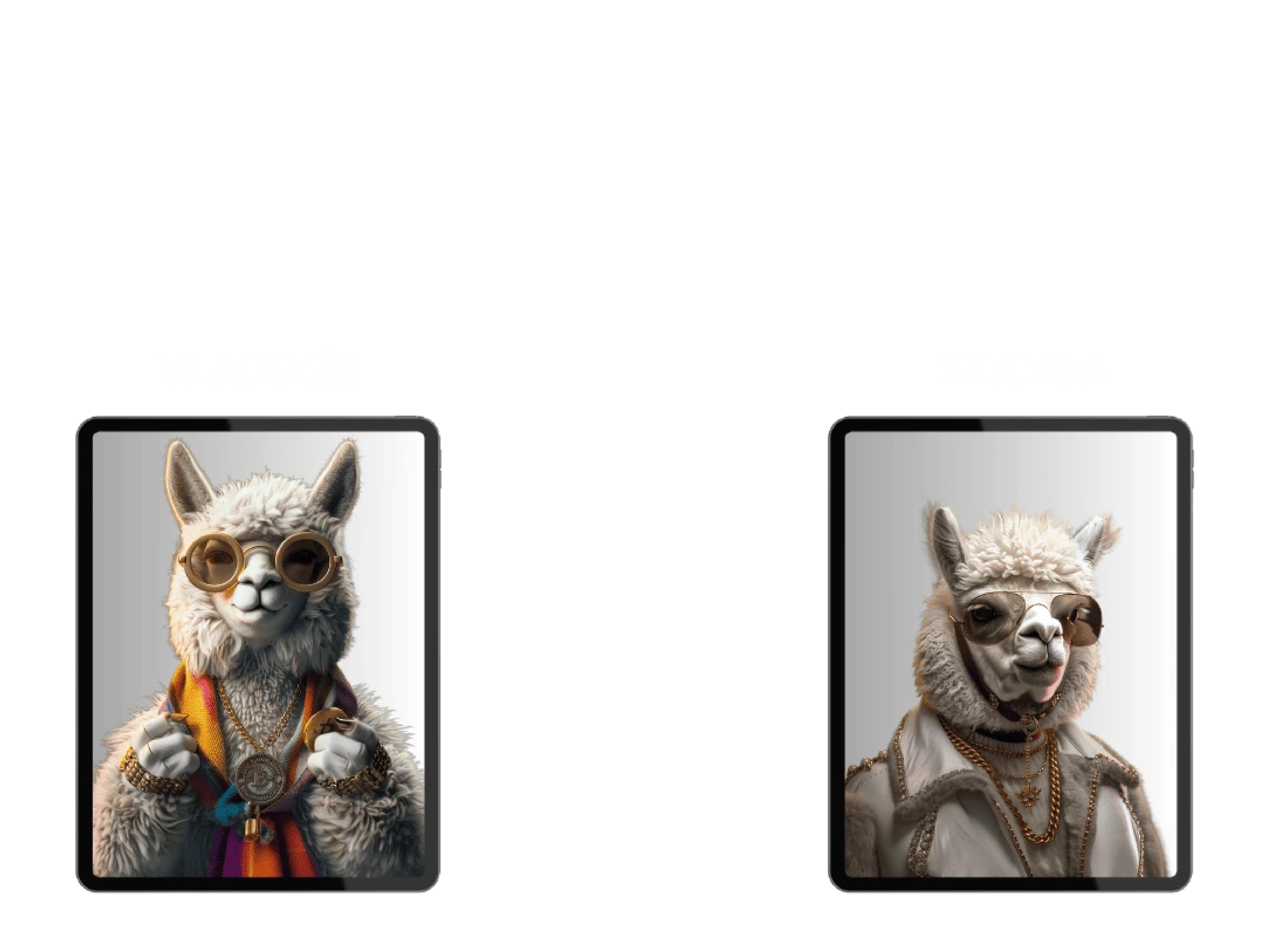 Kdo jsme