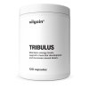 Aktin Vilgain Tribulus 120 kapsúl