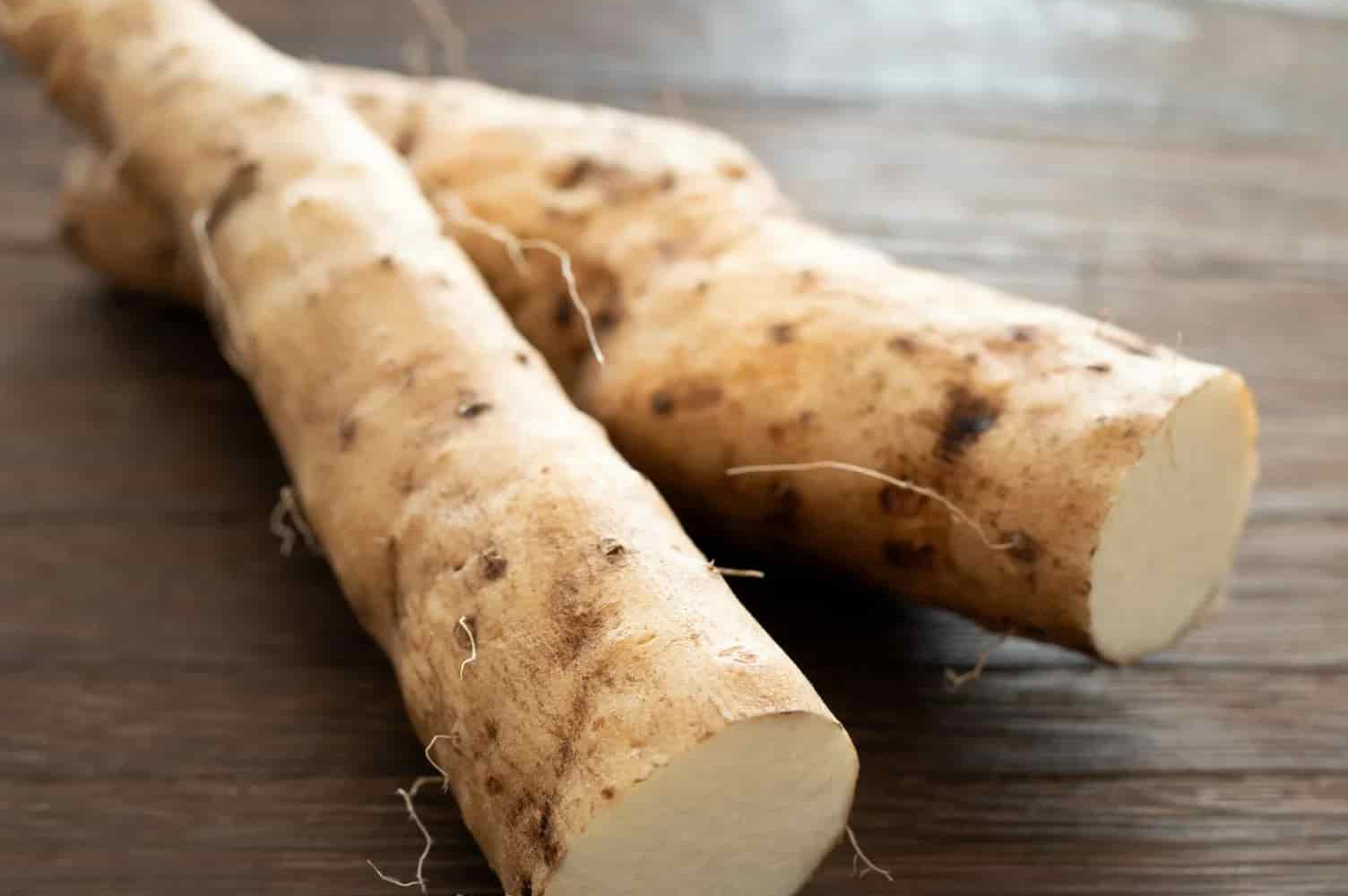 Zaujímavosti: Zázračná rastlina?