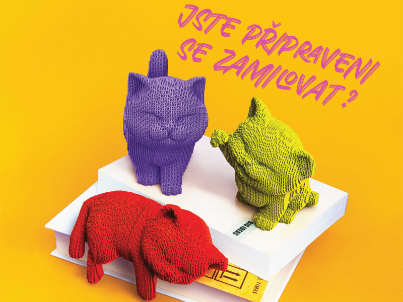 🧩 Cartonic 3D puzzle: Kreativní relax z kartonu s ekologickým srdcem