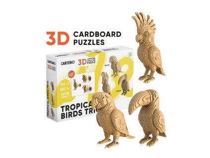 Tropical birds trio 1