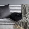 188521 5 polstar kitty cerne kocka polyester s 5 spandexu balvi