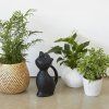 189157 5 konev cat cerna kocka plastova 2 l balvi
