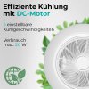 Noaton 12050W Triton - DC-Motor
