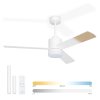 Deckenventilator Noaton 14132WWL Canis - Hauptfoto