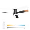 Deckenventilator Noaton 16132BBD Rhea - Hauptfoto